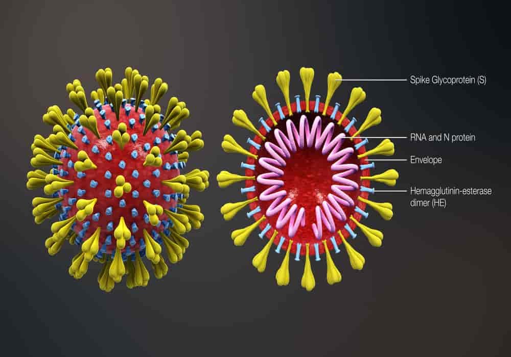 COVID 19 Penyakit Coronavirus Nama Virus Corona 2 