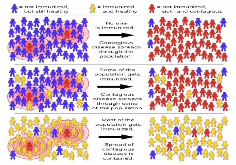 Herd immunity adalah kekebalan kelompok