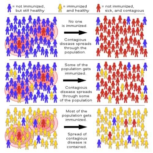 Herd immunity adalah kekebalan kelompok