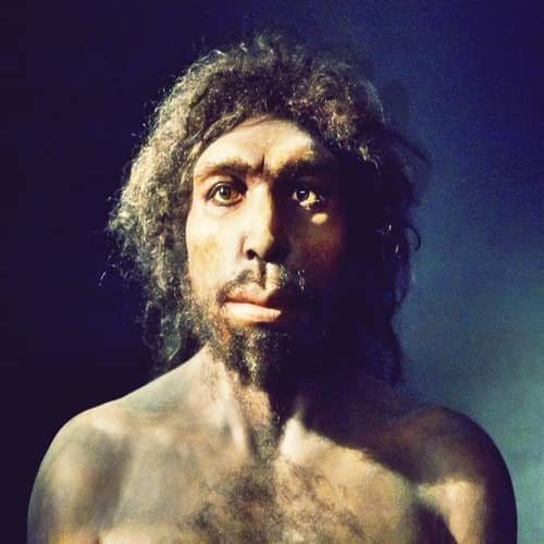 Manusia purba homo antecessor