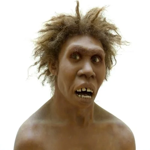 Homo ergaster manusia purba