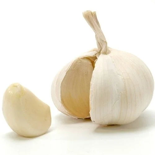 Obat herbal kanker payudara bawang putih