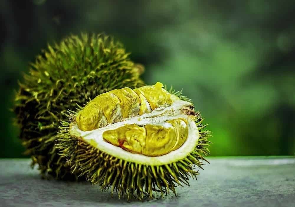 Arti mimpi durian