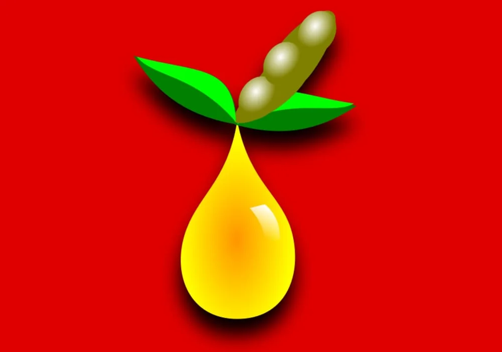 Bahan bakar bioetanol biogas biodiesel