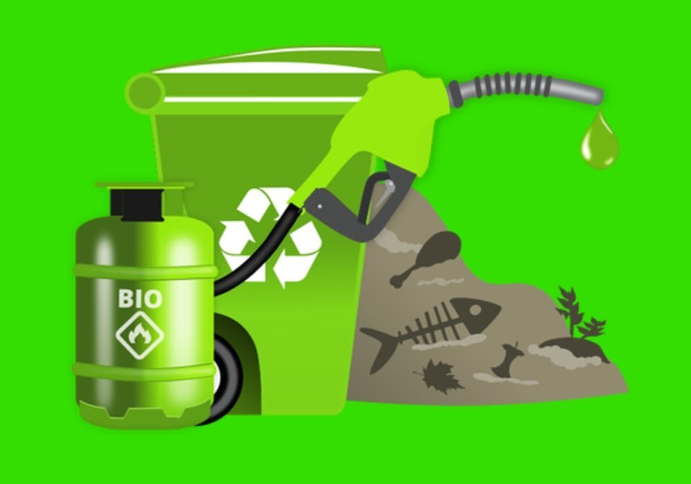 Energi biofuel