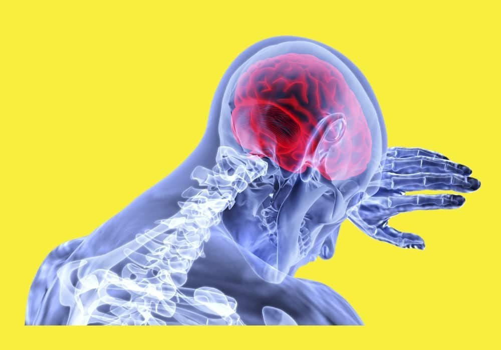 Ensefalitis (Encephalitis) Radang Otak Akut dan Eastern Equine Encephalitis (EEE) - Gejala, Penyebab, Diagnosa, Pengobatan, Pencegahan