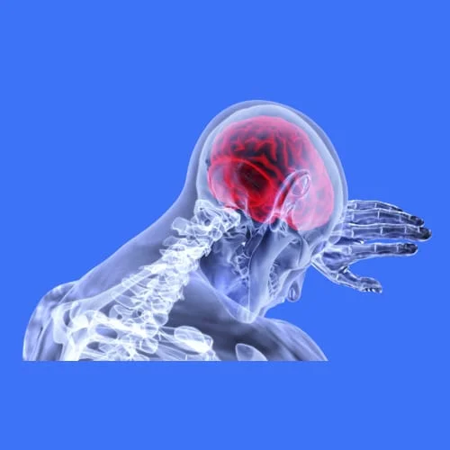 Ensefalitis (Encephalitis) Radang Otak Akut dan Eastern Equine Encephalitis (EEE) - Gejala, Penyebab, Diagnosa, Pengobatan, Pencegahan