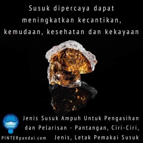 Susuk - Dipercaya dapat meningkatkan kecantikan, kemudaan, kesehatan dan kekayaan - Jenis Susuk Ampuh Untuk Pengasihan dan Pelarisan - Pantangan, Ciri-Ciri, Jenis, Letak Pemakai Susuk