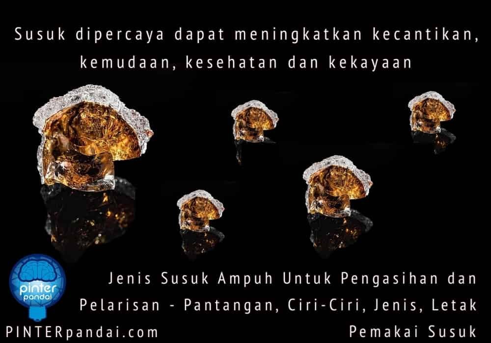 Susuk - Dipercaya dapat meningkatkan kecantikan, kemudaan, kesehatan dan kekayaan - Jenis Susuk Ampuh Untuk Pengasihan dan Pelarisan - Pantangan, Ciri-Ciri, Jenis, Letak Pemakai Susuk