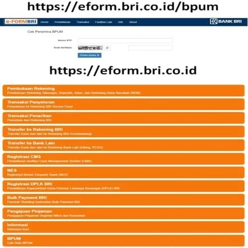 BPUM - Bantuan Produktif UMKM - Pendaftaran, Cara Cek - Kriteria, Syarat Cara Mendapatkan BPUM