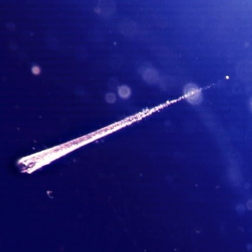 Jejak jalur meteoroid