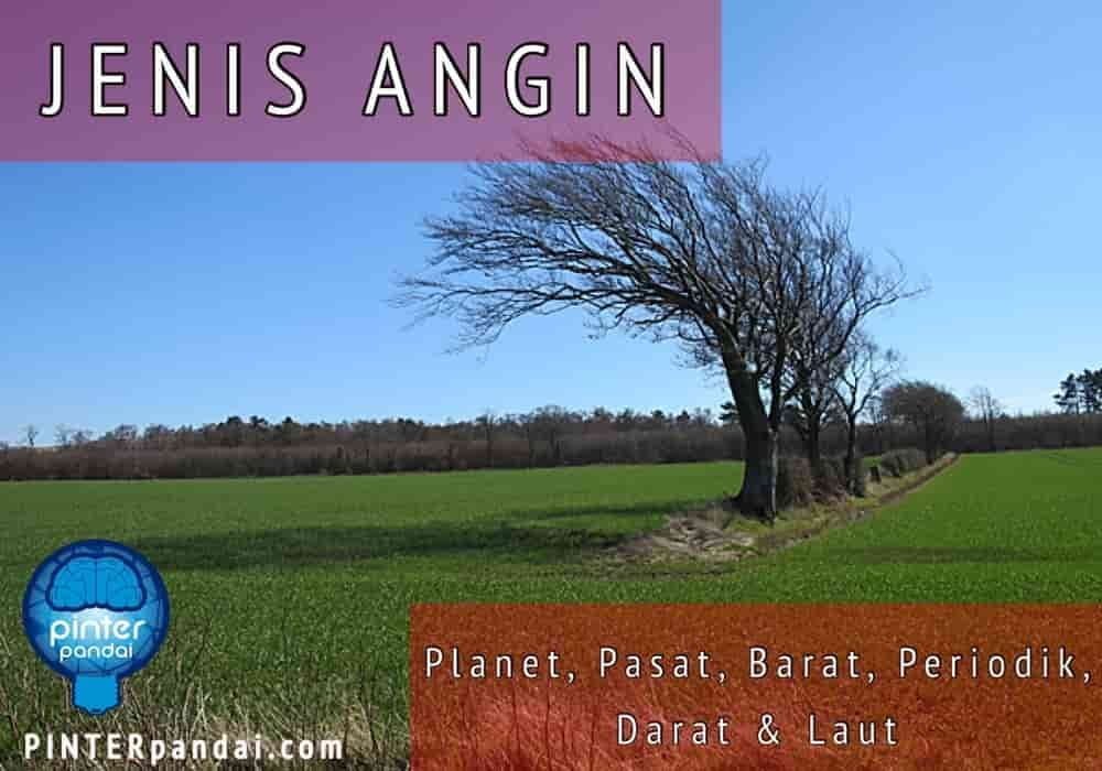 Jenis Angin: Planet, Pasat , Barat, Periodik, Darat dan Laut