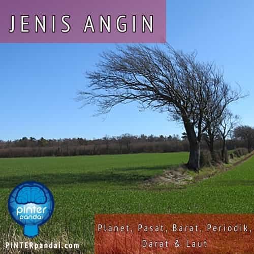 Jenis Angin: Planet, Pasat , Barat, Periodik, Darat dan Laut