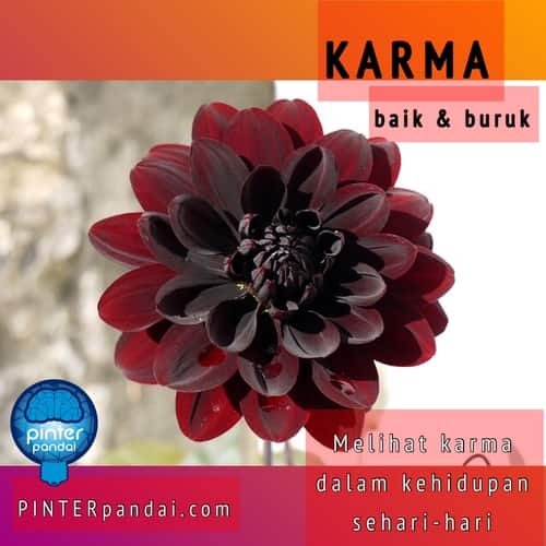 Contoh Karma Baik dan Buruk - Melihat Karma dalam Kehidupan Sehari-Hari