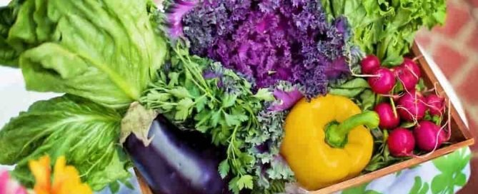 Arti mimpi sayur