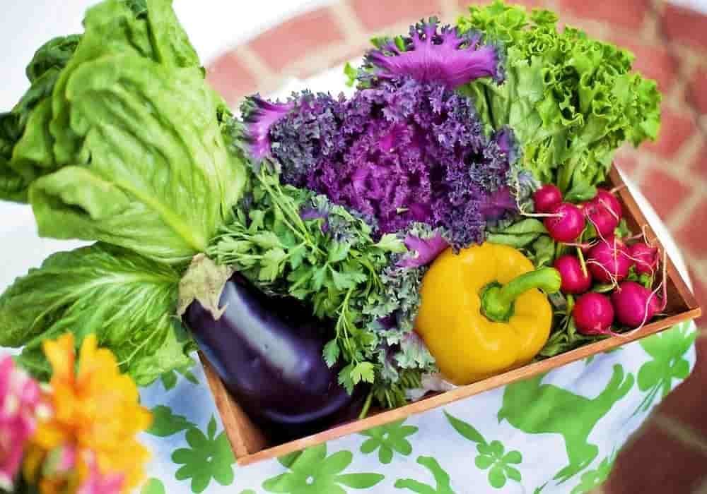Arti mimpi sayur
