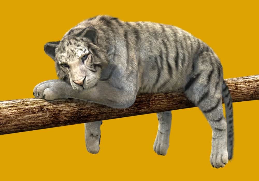Arti mimpi harimau