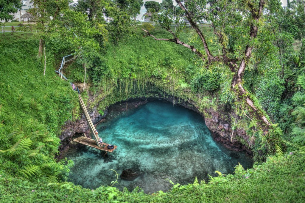 To Sua Ocean Trench, Lotofaga samoa