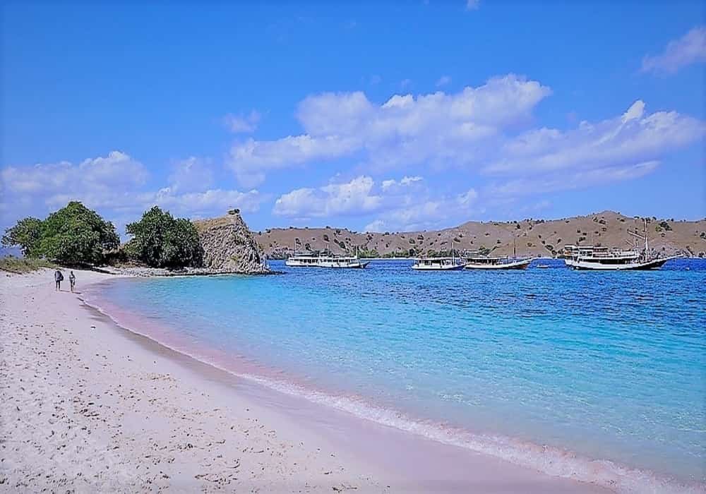 Pantai pasir pink di Pulau Komodo