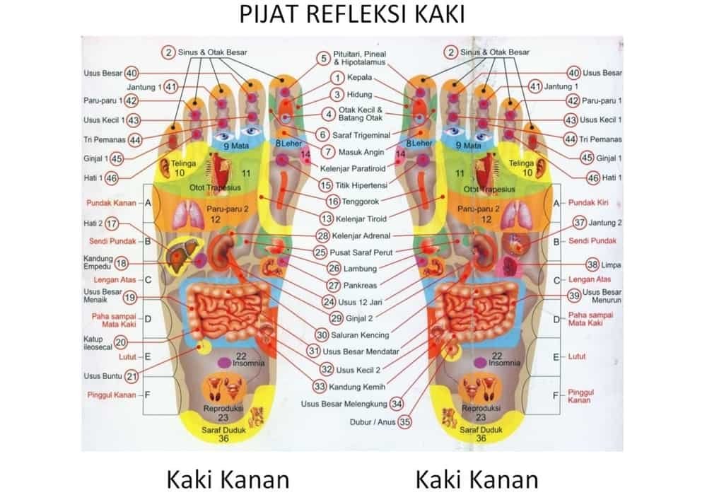 Titik pijat refleksi telapak kaki