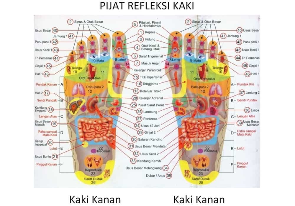 Titik pijat refleksi telapak kaki