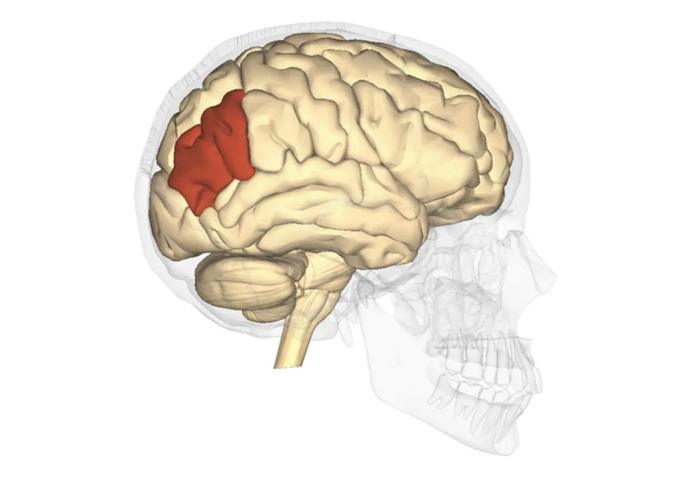 Sindrom Gerstmann (sindrom gyrus sudut) | Gejala, Penyebab, Diagnostik, Pengobatan