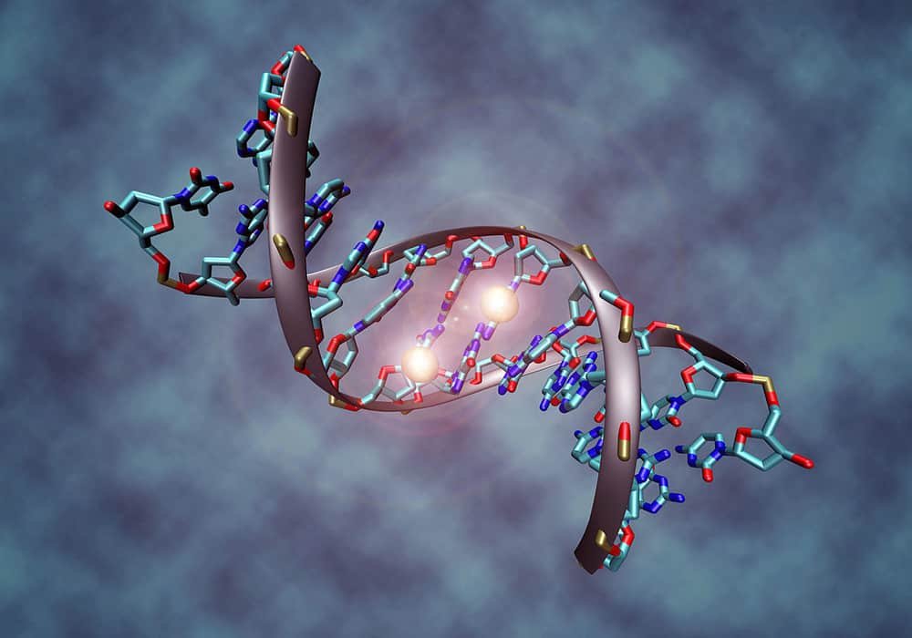 Tes Gen Onkogenetika - Tes DNA memprediksi kanker tertentu