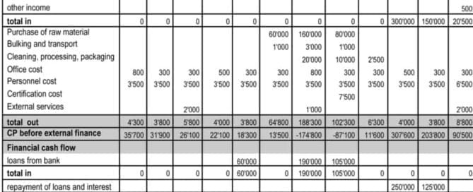 Cash flow management