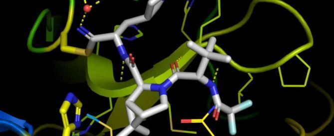 Paxlovid : Pil Anti Covid Pfizer