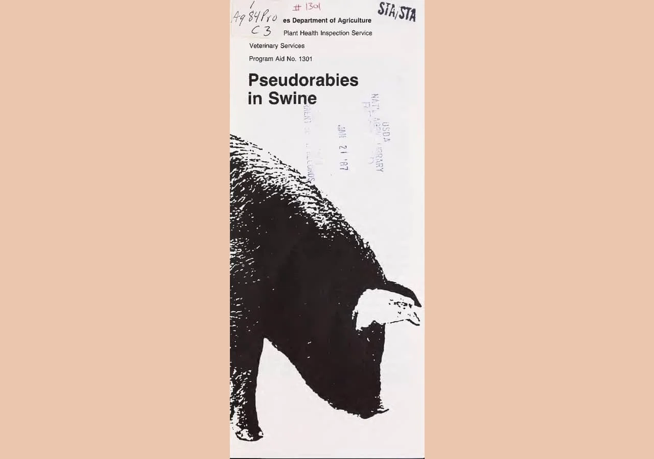 Penyakit aujeszky pseudorabies