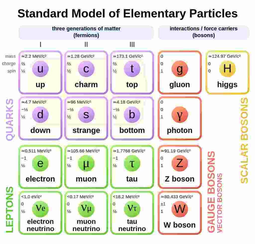 Fisika partikel dasar model standar